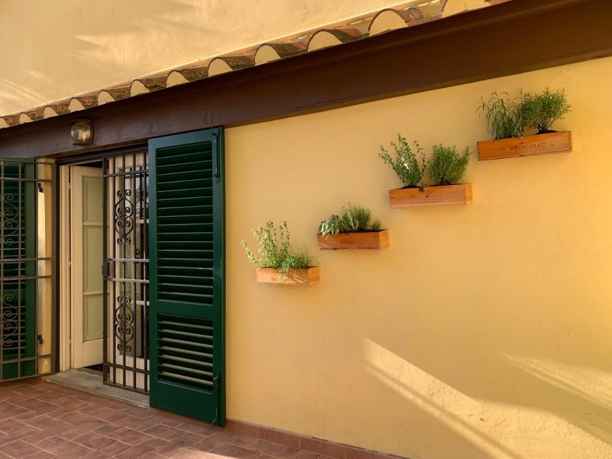 La Terrazza Di Via Elisa Bed & Breakfast Lucca Ngoại thất bức ảnh